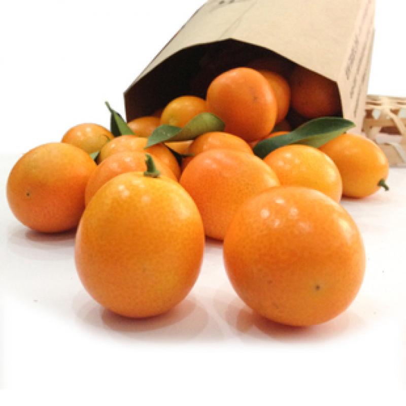 金橘是什么与金橘的功效与作用