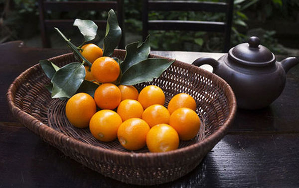 金橘是什么与金橘的功效与作用
