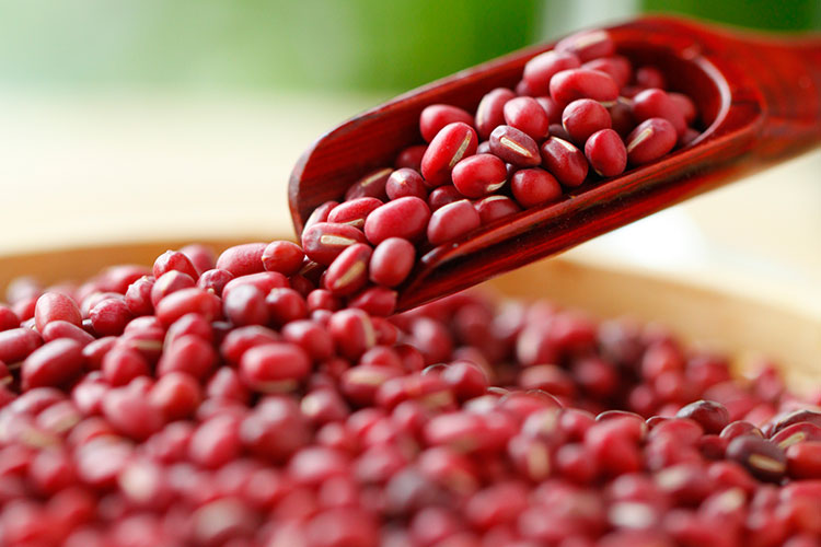 体内湿气重的症状 体湿该如何调理