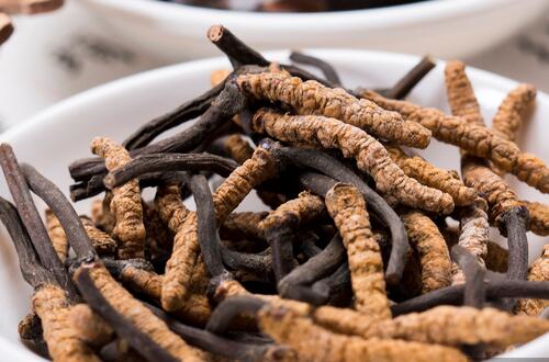 虫草的功效与作用   抗疲劳抗肿瘤