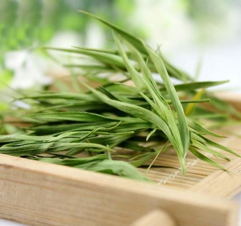清心除烦 淡竹叶的功效与作用及禁忌介绍