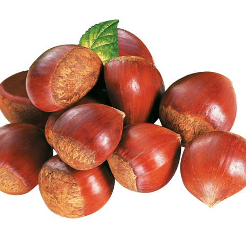 滋补佳品 板栗的功效和营养价值介绍