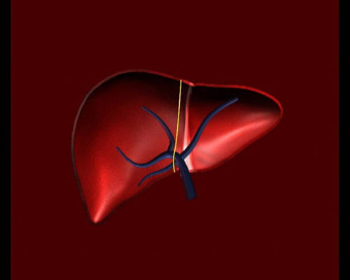 马钱子的功效与作用，全方位为你分析