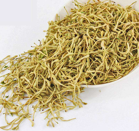 抗炎解毒 金银花茶的功效与作用及禁忌介绍