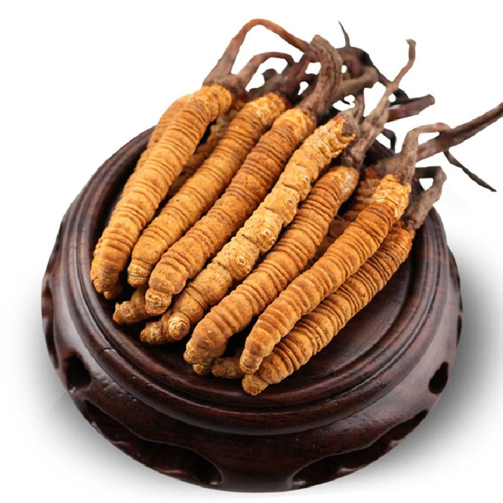 中国三大宝之冬虫夏草的功效你知道吗