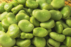 利湿消肿 蚕豆的功效与作用及吃法介绍