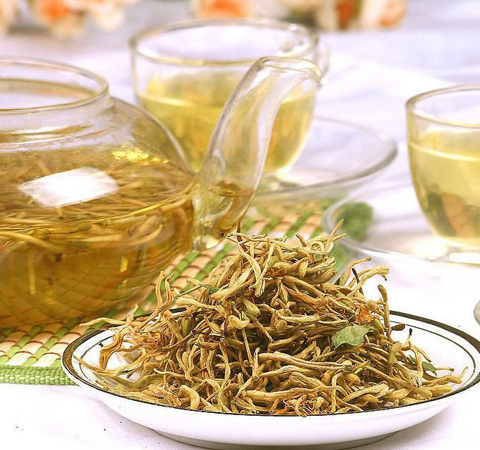 抗炎解毒 金银花茶的功效与作用及禁忌介绍