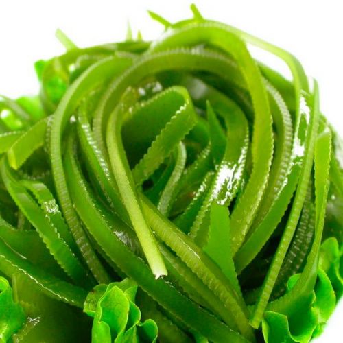 海带的营养价值 别把海带当主食吃