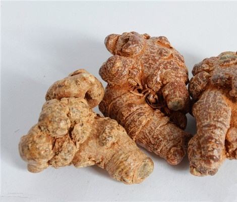 三七粉的作用与功效的详细解析