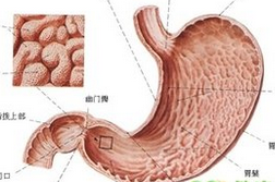 十二指肠炎的症状  表现有疼痛症状