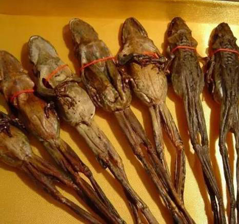 延缓衰老 蛤蟆油的功效与作用及吃法介绍