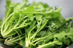 预防癌症 荠菜的功效与作用及吃法介绍