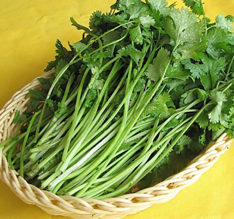 利尿健肾 香菜的功效与作用及吃法介绍