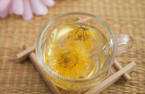 菊花茶的功效与禁忌 　菊花茶的药理作用是什么