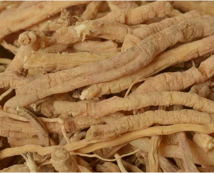 远志的作用与功效及其食疗方法