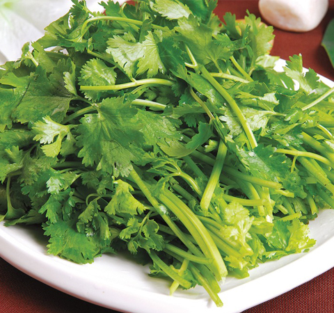 和胃调中 香菜的营养价值和功效介绍