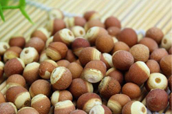 补脾止泄 芡实的作用与功效及吃法介绍