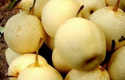 扁桃体发炎吃什么水果  五大水果