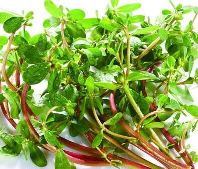 皮肤过敏怎么办 这6种偏方帮助你康复