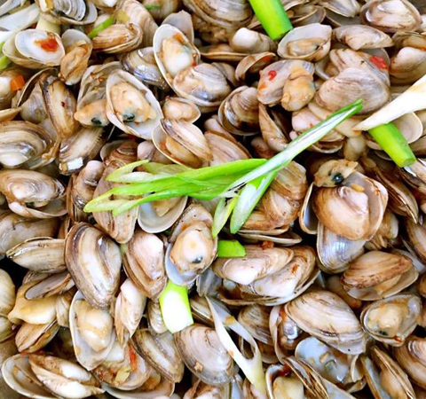 滋阴化痰 海瓜子的营养价值和功效介绍