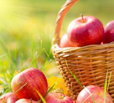苹果的作用 怀孕期间女性吃苹果效果好