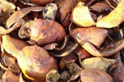 石榴皮的功效 石榴皮有什么作用你知道吗