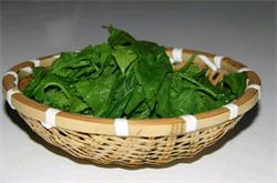 桑叶的作用与功效 桑叶有什么副作用