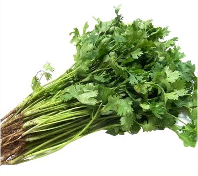 香菜怎么吃  香菜粉蒸土豆排骨