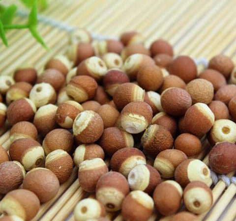 补脾止泄 芡实的作用与功效及吃法介绍