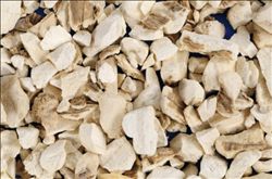 当归的功效和作用及其泡水喝的功效