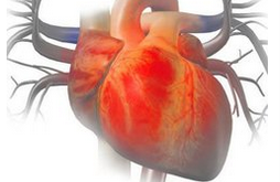 供血不足的症状   五种症状