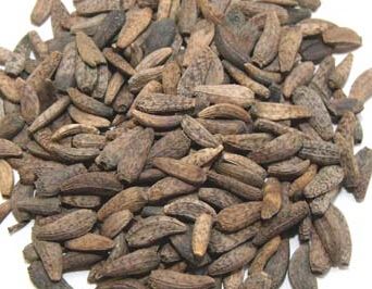 又一神奇的中药--牛蒡子的功效与作用