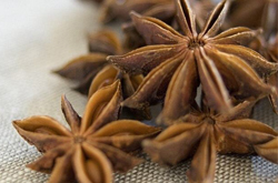 温补肾阳 大茴香的功效与作用及副作用介绍