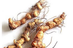 黄精的功效与作用  9种常见的作用