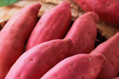 红薯的营养价值   富含维C和叶酸