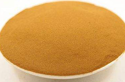 清利湿热 海金沙的功效与作用和吃法介绍