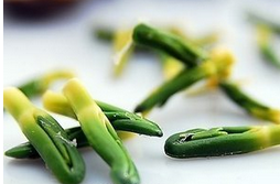 莲子心的功效与作用  有去心火的功效