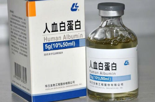人血白蛋白的作用 主要有这3种
