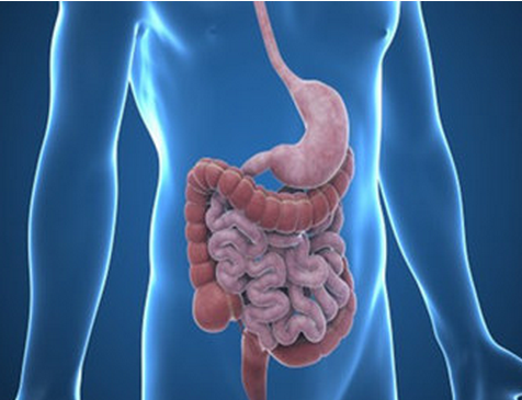 教你懂得肠粘连症状及其治疗方法