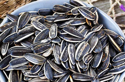 预防贫血 葵花籽的功效与作用及禁忌介绍