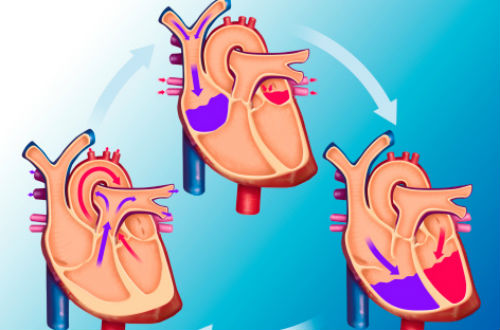 血液循环不好的症状 看完您就明白了