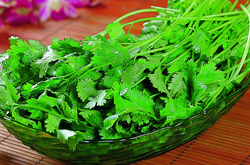 和胃调中 香菜的营养价值和功效介绍