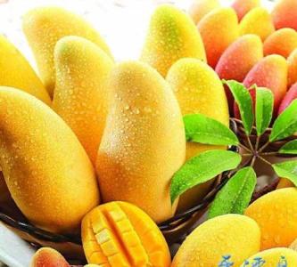 吃水果的最佳时间 不同时间点效果不同