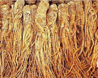 滋阴补肾的食物有哪些 这10个食物高效又便宜