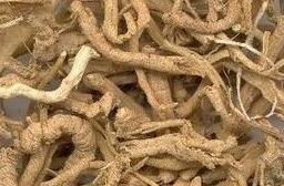 远志的作用与功效及其食疗方法