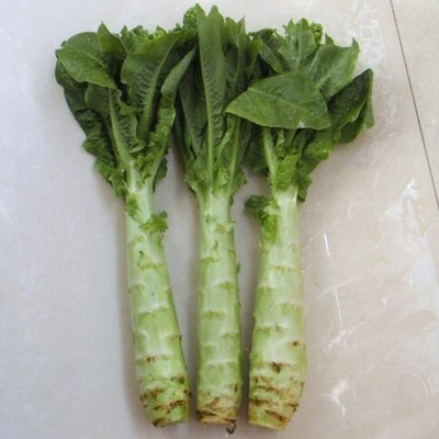 莴笋的营养价值九种营养价值