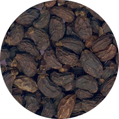 女贞子的功效与作用及其药理作用