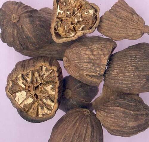 草果的功效与作用 可以治疗众多疾病