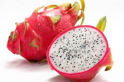 美容养颜 火龙果的好处和功效介绍