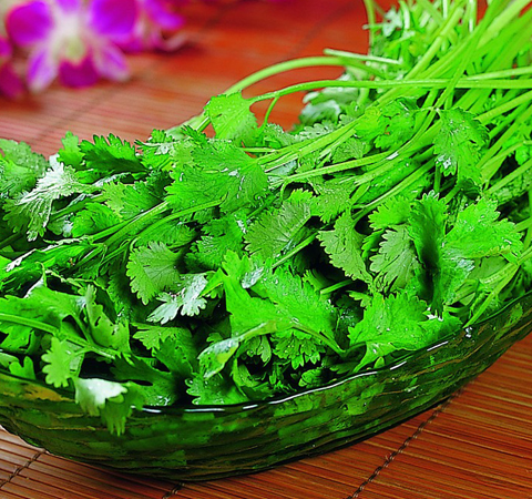 和胃调中 香菜的营养价值和功效介绍